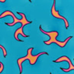 Meet your Posher, Brailyn